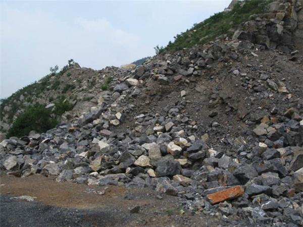 ����ѡ������Ҫ֪��Щʲô��