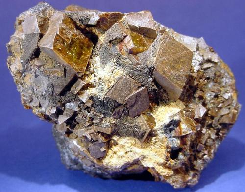 ̼��������