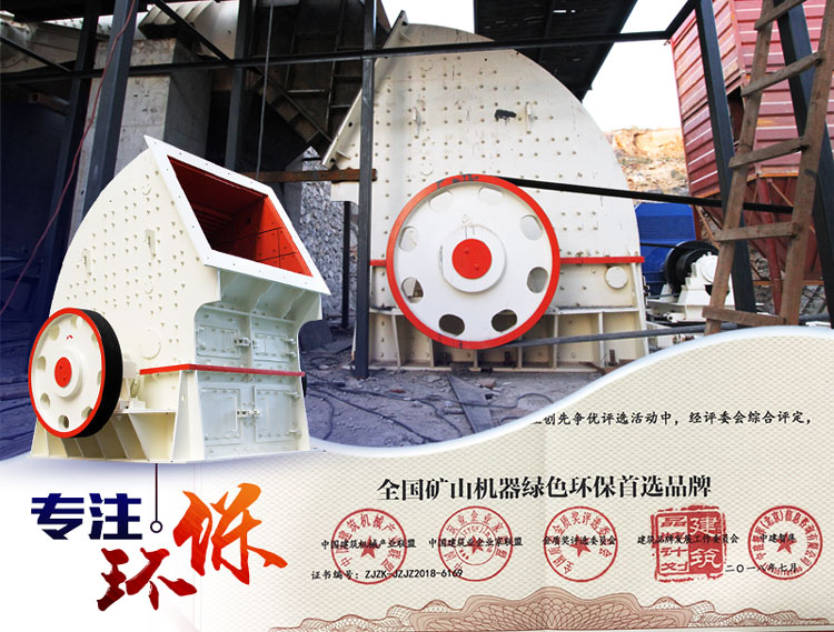 ��ʽ������ֳ�