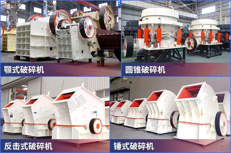 �̶����������������������չʾ